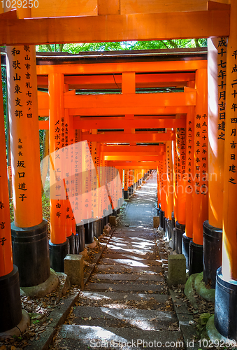 Image of Fushimi Inari Taisha torii, Kyoto, Japan