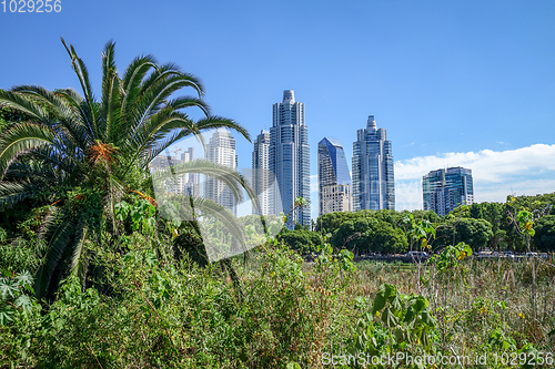 Image of Buenos Aires, view from Costanera Sur ecological reserve