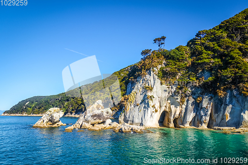 Image of Creek in Abel Tasman National Park, New Zealand