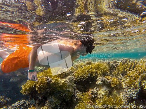Image of Young boy Snorkel swim in coral reef