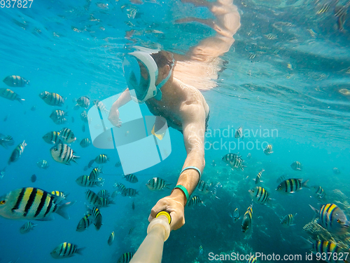 Image of man snorkel in shallow water on coral fish