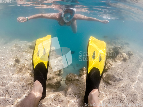 Image of Woman snorkel with school of coral fish, Red Sea, Egypt