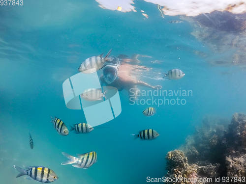 Image of Woman snorkel with school of coral fish, Red Sea, Egypt