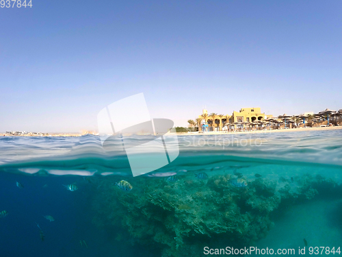 Image of Underwater surface split view of coral fish and Egypt