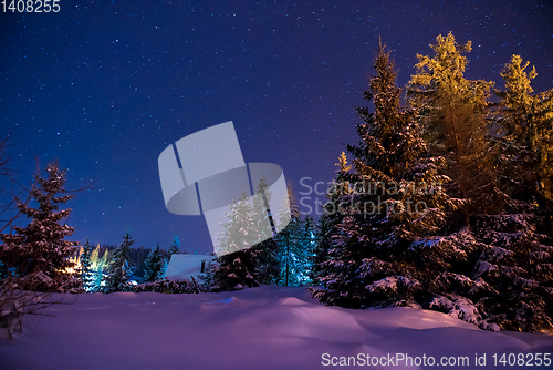 Image of Beautiful winter night landscape