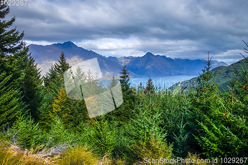 Image of Lake Wakatipu and mountain forest, New Zealand