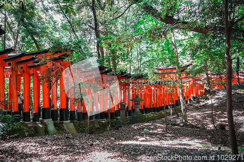 Image of Fushimi Inari Taisha torii, Kyoto, Japan