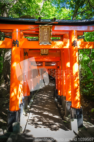 Image of Fushimi Inari Taisha torii, Kyoto, Japan