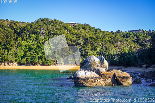 Image of Round stone boulder in Abel Tasman National Park, New Zealand