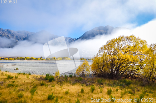 Image of Yellow forest and river in New Zealand mountains