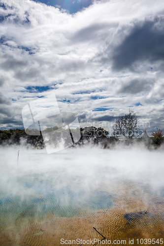 Image of Hot springs lake in Rotorua, New Zealand