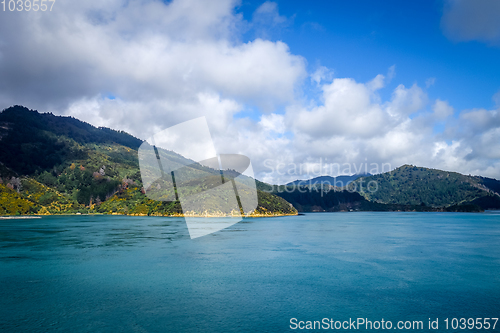 Image of Marlborough Sounds, New Zealand