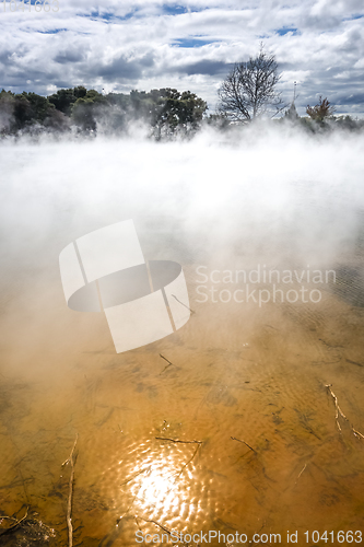 Image of Hot springs lake in Rotorua, New Zealand