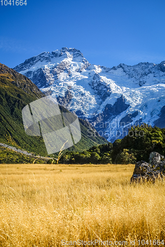 Image of Mount Cook valley landscape, New Zealand
