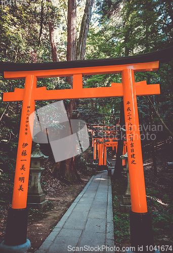 Image of Fushimi Inari Taisha torii, Kyoto, Japan