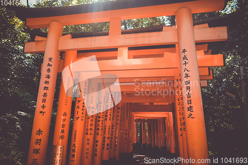 Image of Fushimi Inari Taisha torii, Kyoto, Japan