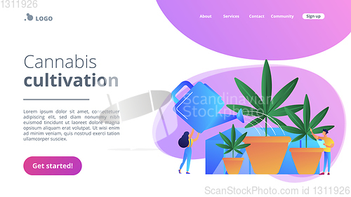 Image of Cannabis cultivation concept landing page.