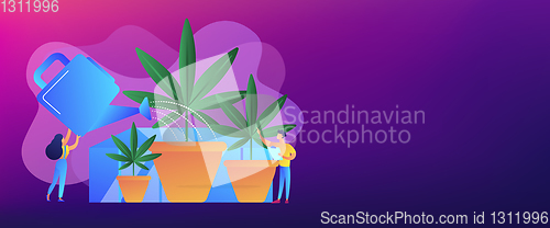 Image of Cannabis cultivation concept banner header.