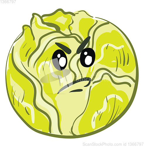Image of Angry cartoon green cabbage vector illustration on white backgro