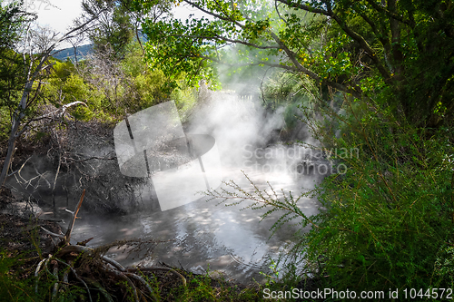 Image of Rotorua hot springs, New Zealand