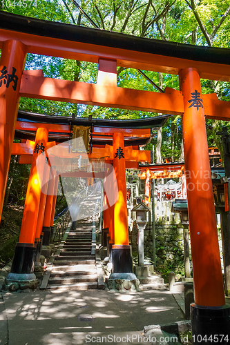 Image of Fushimi Inari Taisha torii, Kyoto, Japan