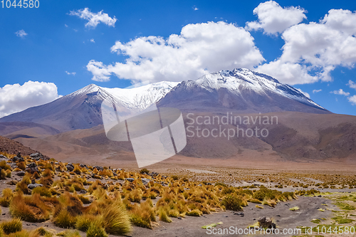 Image of Altiplano mountains in sud Lipez reserva, Bolivia