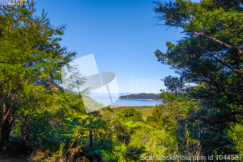 Image of Track view in Abel Tasman National Park, New Zealand