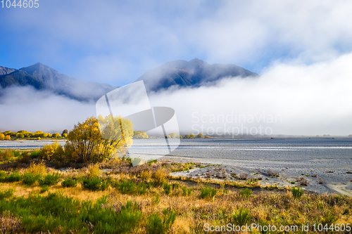 Image of Yellow forest and river in New Zealand mountains