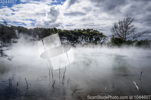 Image of Misty lake and forest in Rotorua, New Zealand