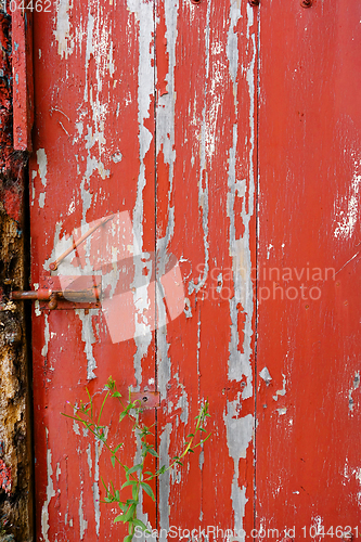 Image of Old wood door painted red