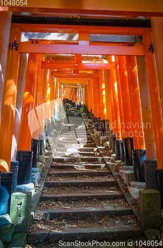 Image of Fushimi Inari Taisha torii, Kyoto, Japan