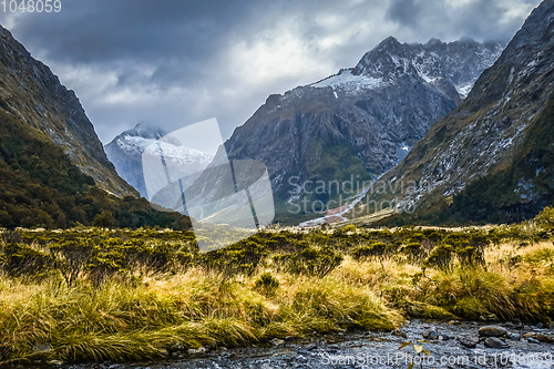 Image of River in Fiordland national park, New Zealand