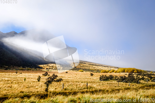 Image of Mountain fields landscape in New Zealand