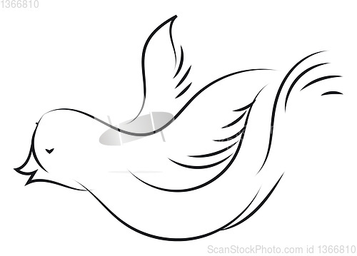 Image of Sketch of white dove illustration color vector on white backgrou