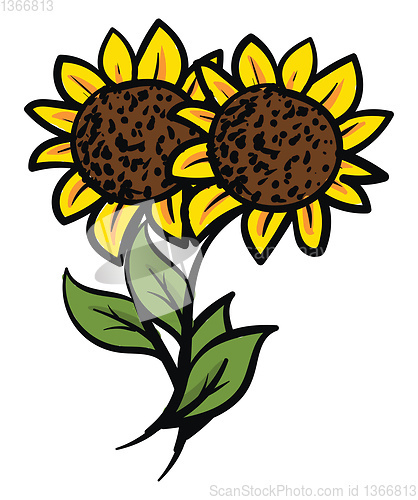 Image of Two yellow sunflowers with green leaves vector illustration on w