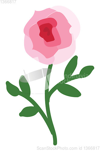 Image of Abstract  vector illustration on white background of a pink rose