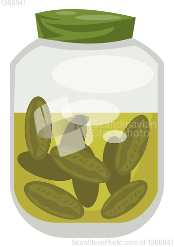 Image of Green Jar, vector color illustration.
