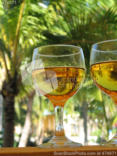 Image of beer glasses close up in a tropical layout