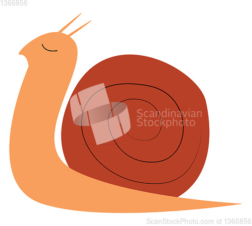 Image of A snail with shell cover vector or color illustration