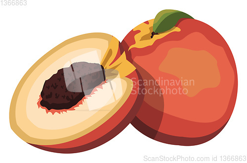 Image of Cartoon of a orange red and yellow nectarine fruit with green le