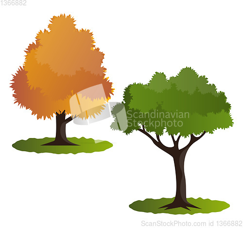 Image of Two autumn tree vector illustration on white background
