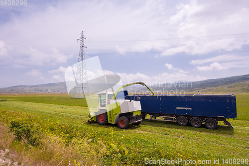 Image of combine machine loading bunker of the truck