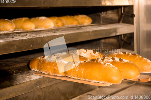 Image of Baked bread in the bakery