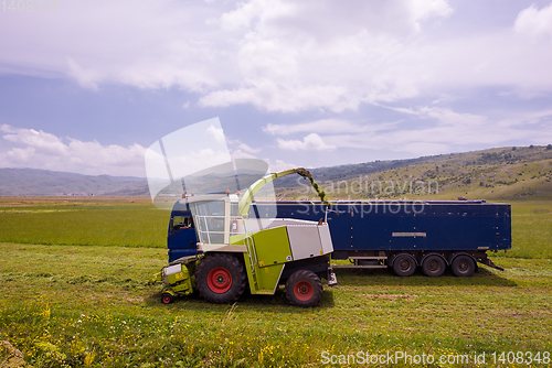 Image of combine machine loading bunker of the truck