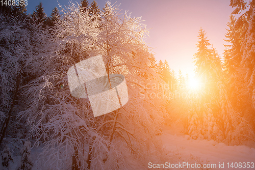 Image of Snowy country road during  sunset or sunrise