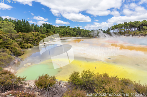 Image of geothermal activity at Rotorua in New Zealand