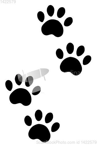 Image of paws of a dog