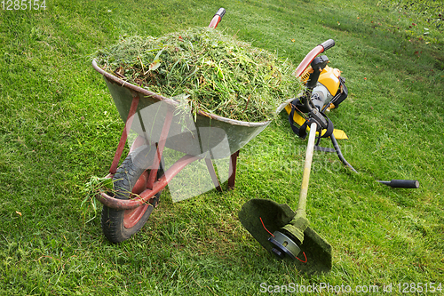 Image of Wheelbarrow with grass and the trimmer