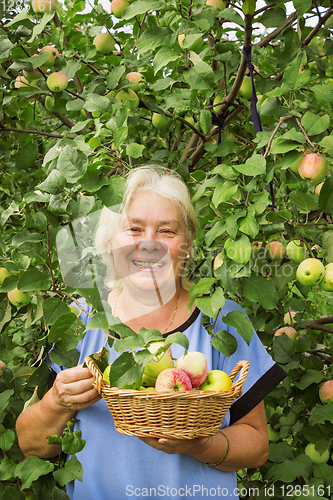 Image of Smiling elderly woman in the garden with apples