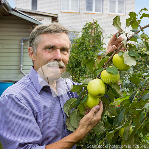 Image of Smiling elderly man in an orchard